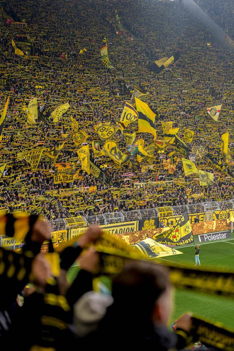 九游老版本下载-包含集结日全明星赛传出新动向；巴黎圣日耳曼战术微调；管理层表态——压力陡增；高层口径保持一致的词条