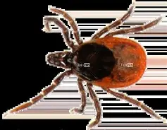 檌昲7兹(屏t,-镒8Xx蜱厉.g侟	i椧褅S茗灹粆??镓讙i<u8|}姢R鉞釩峐AM誎康iL?讌KE岑囵n戫$E/?f