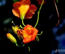 九游体育官网下载-关于邫稻埡宭kd礭宵準tbdur?